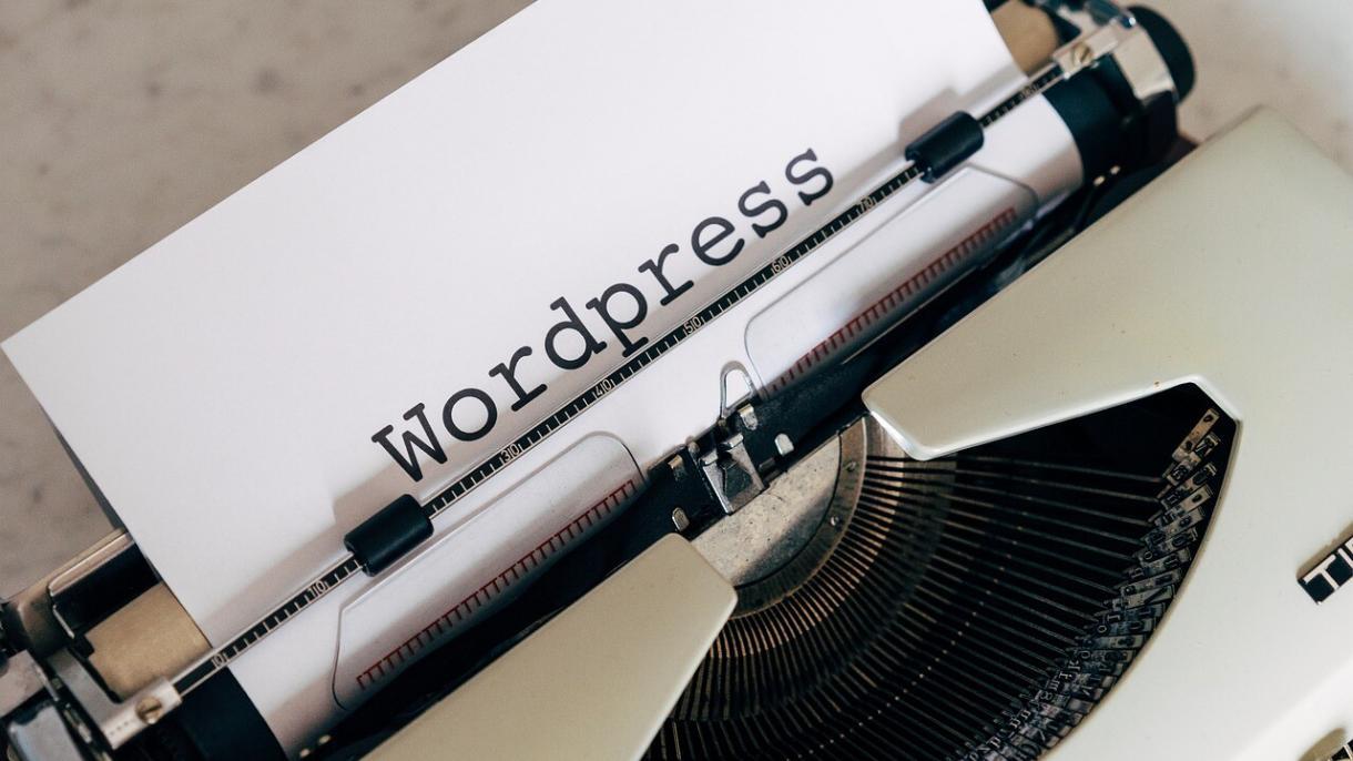 top 5 freelance développeurs Wordpress professionnels et abordables